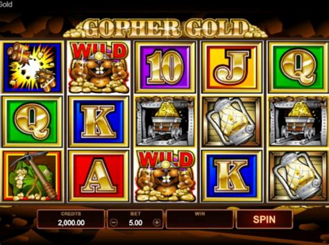 gopher gold slot|Gopher Gold slot by Microgaming review play online for free!.